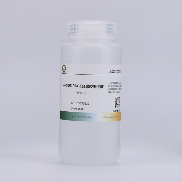 AQ103-500ml 4×SDS-PAGE分离胶缓冲液（PH=8.8）