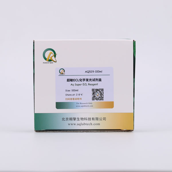 AQ529 超敏ECL化学发光试剂盒（Aq Super ECL Reagent）